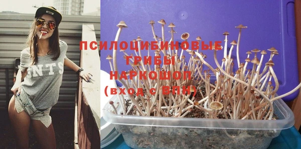 соль курить ск Нея