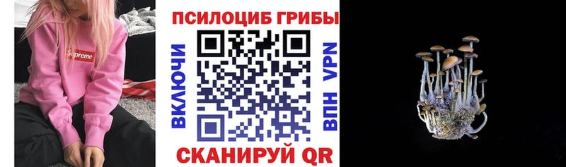 Галлюциногенные грибы Magic Shrooms  Кириши 