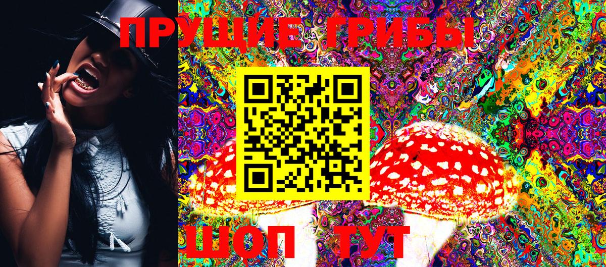 Галлюциногенные грибы мицелий  Галлюциногенные грибы Psilocybine cubensis  Кириши 