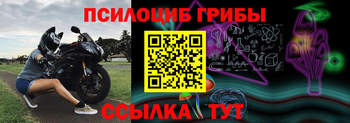 Псилоцибиновые грибы MAGIC MUSHROOMS Кириши