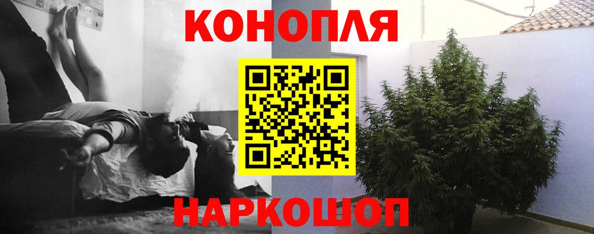 Канабис гибрид Кириши